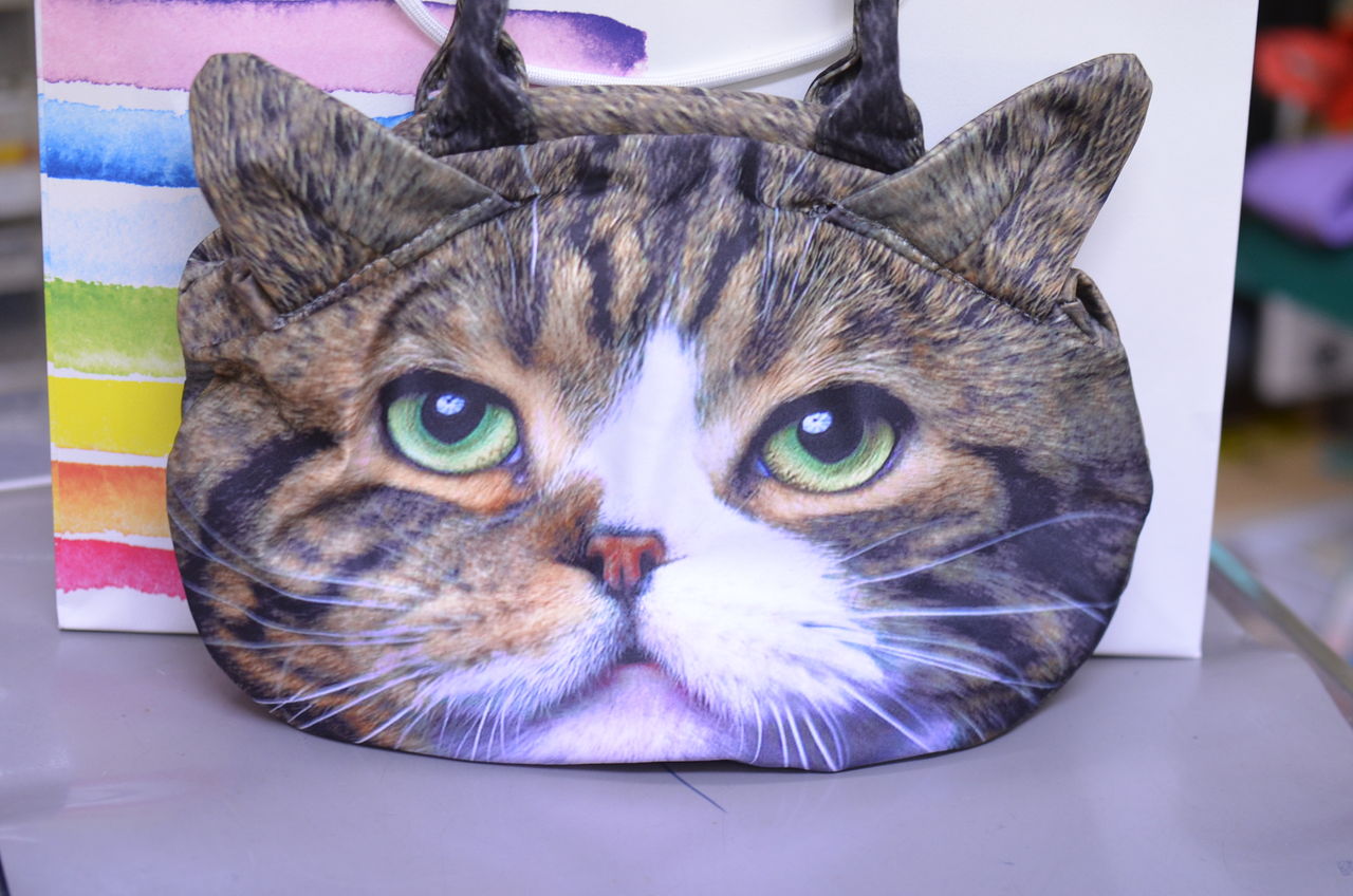 猫バッグふたたび ちまぎょろ獣医日記 べにっき