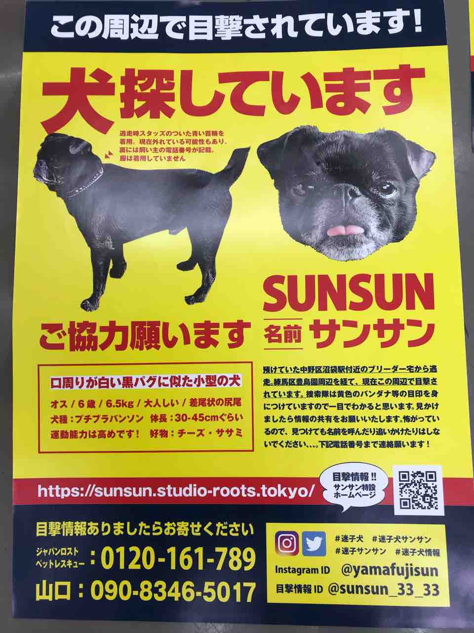 迷い犬と即売会 ちまぎょろ獣医日記 べにっき