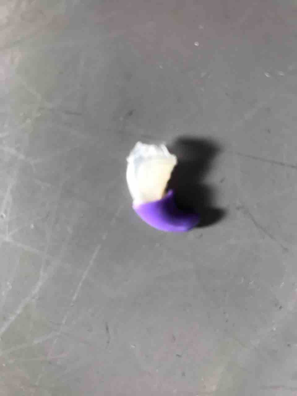 ネイルキャップの注意点 ちまぎょろ獣医日記 べにっき ネイルキャップの注意点 ちまぎょろ獣医日記 べにっき