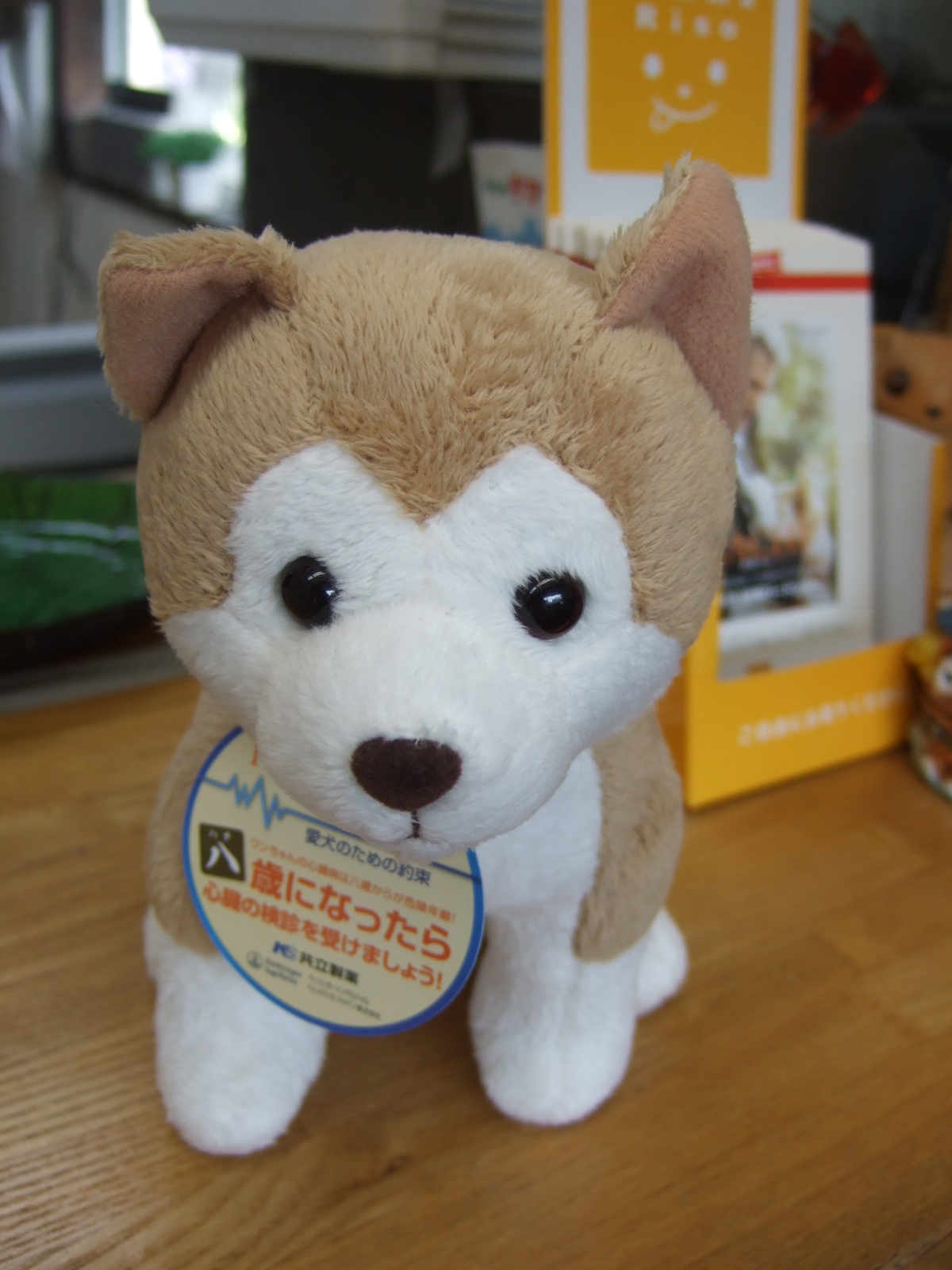 忠犬ハチ公の日 : ちまぎょろ獣医日記＆べにっき