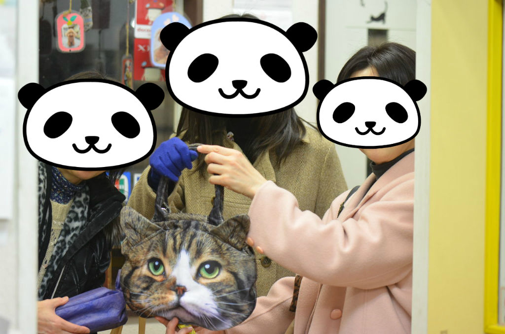 猫バッグふたたび ちまぎょろ獣医日記 べにっき