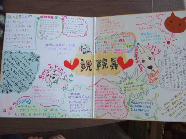 寄せ書きの被害者 ちまぎょろ獣医日記 べにっき