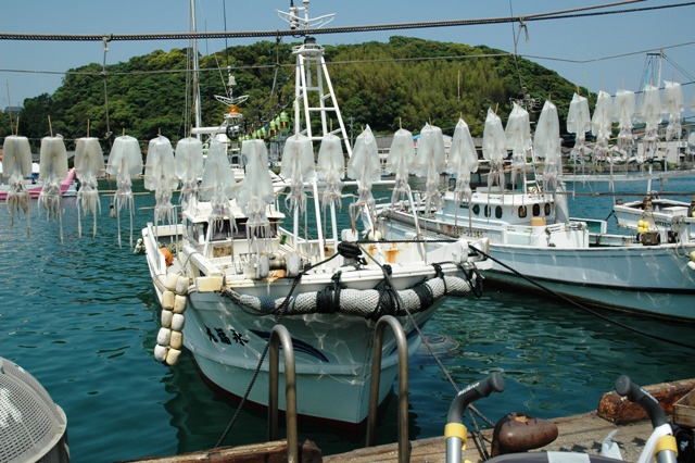 呼子湾
