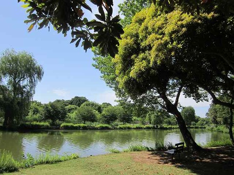 公園小田原城・丸山 010