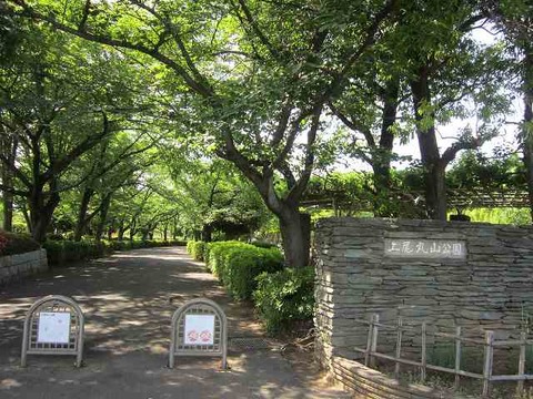 公園小田原城・丸山 044