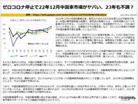 ゼロコロナ停止で22年12月中国車市場がヤバい、23年も不調？のキャプチャー