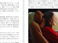 春節を乗り切るための装置としての中国のクルマ