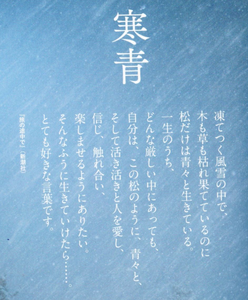 モグラのナミダ Livedoor Blog ブログ モグラのナミダ Livedoor Blog ブログ