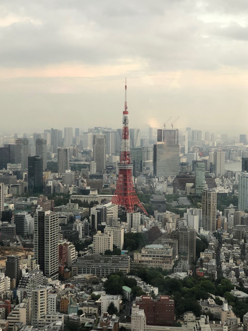 六本木ヒルズの風景 モグラのナミダ