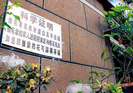花盗りと脳溢血の関係