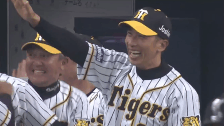 今シーズンの阪神ベンチの雰囲気明るすぎるやろ ちな虎やが 阪神タイガースまとめ 今シーズンの阪神ベンチの雰囲気明るすぎるやろ ちな虎やが 阪神タイガースまとめ