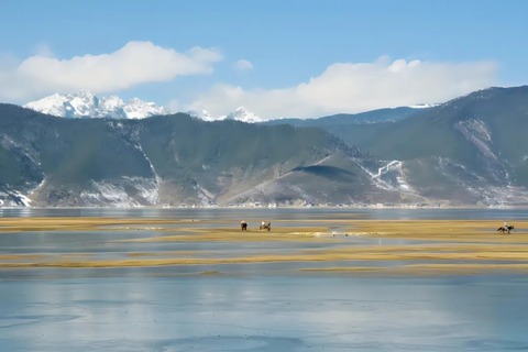 納帕海【ナパ海】