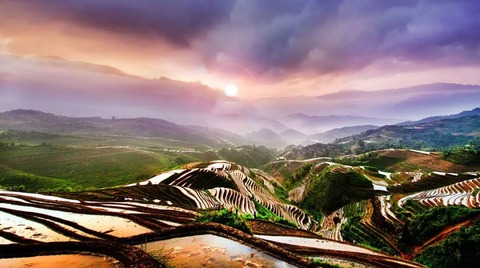 龍勝棚田2