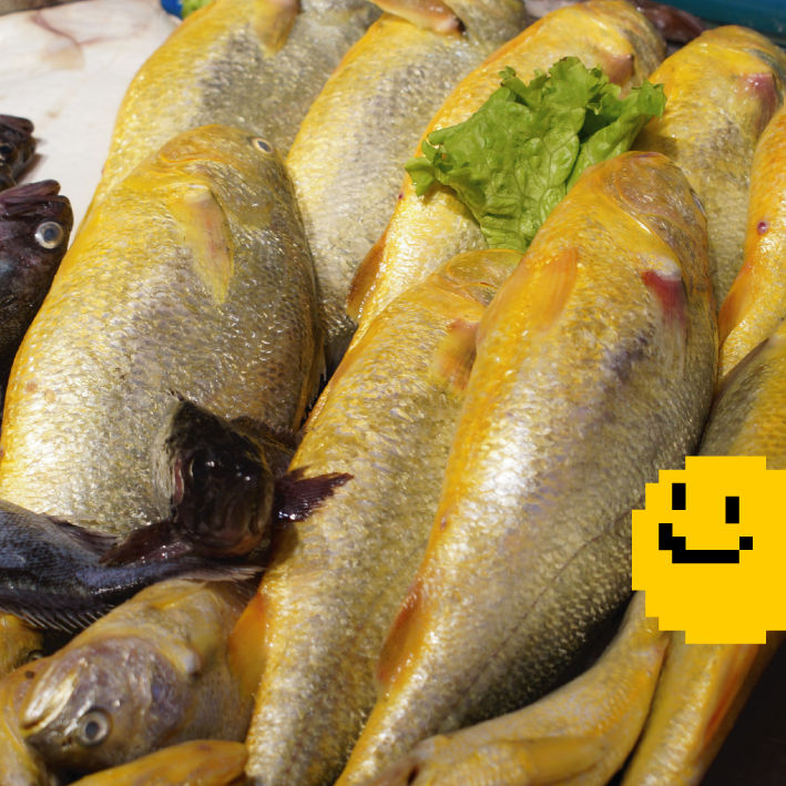 黄花鱼 Huang Hua Yu 一度は食べておきたい黄色い魚 すまいる哥哥の中国語単語 黄花鱼 Huang Hua Yu 一度は食べておきたい黄色い魚 すまいる哥哥の中国語単語