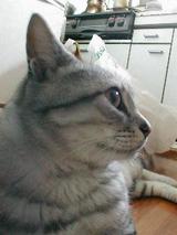 쥵