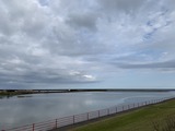 IMG_2185