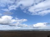IMG_9298