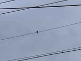 IMG_2302