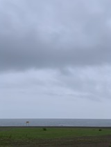 IMG_4371
