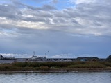 IMG_6775