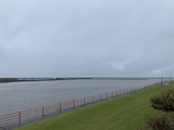 IMG_2339