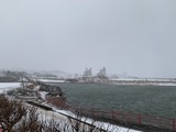 IMG_0330