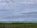 IMG_4896