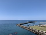 IMG_2331