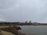 IMG_9133