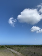 IMG_6290