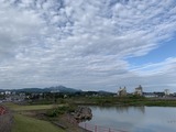 IMG_2256