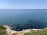 IMG_2329