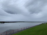 IMG_4450