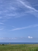 IMG_4980