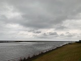 IMG_5174