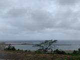 IMG_6555