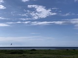 IMG_6351