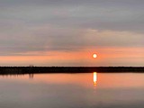 IMG_3711