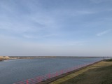 IMG_1084