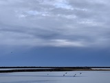 IMG_6773