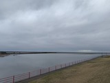 IMG_0733