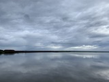 IMG_4241