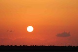 IMG_1007