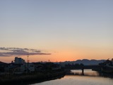 IMG_8233