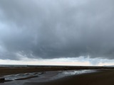 IMG_9337