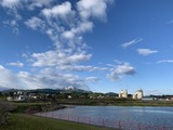 IMG_1969