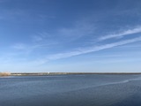 IMG_2230
