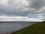 IMG_6681