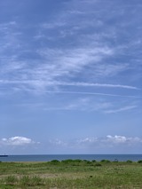 IMG_4981