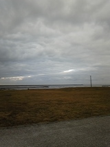 9a682f80.jpg